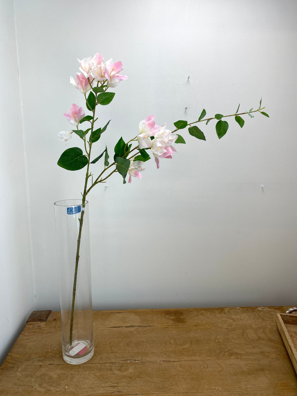 Greenhouse Pink Bougainvillea Spray