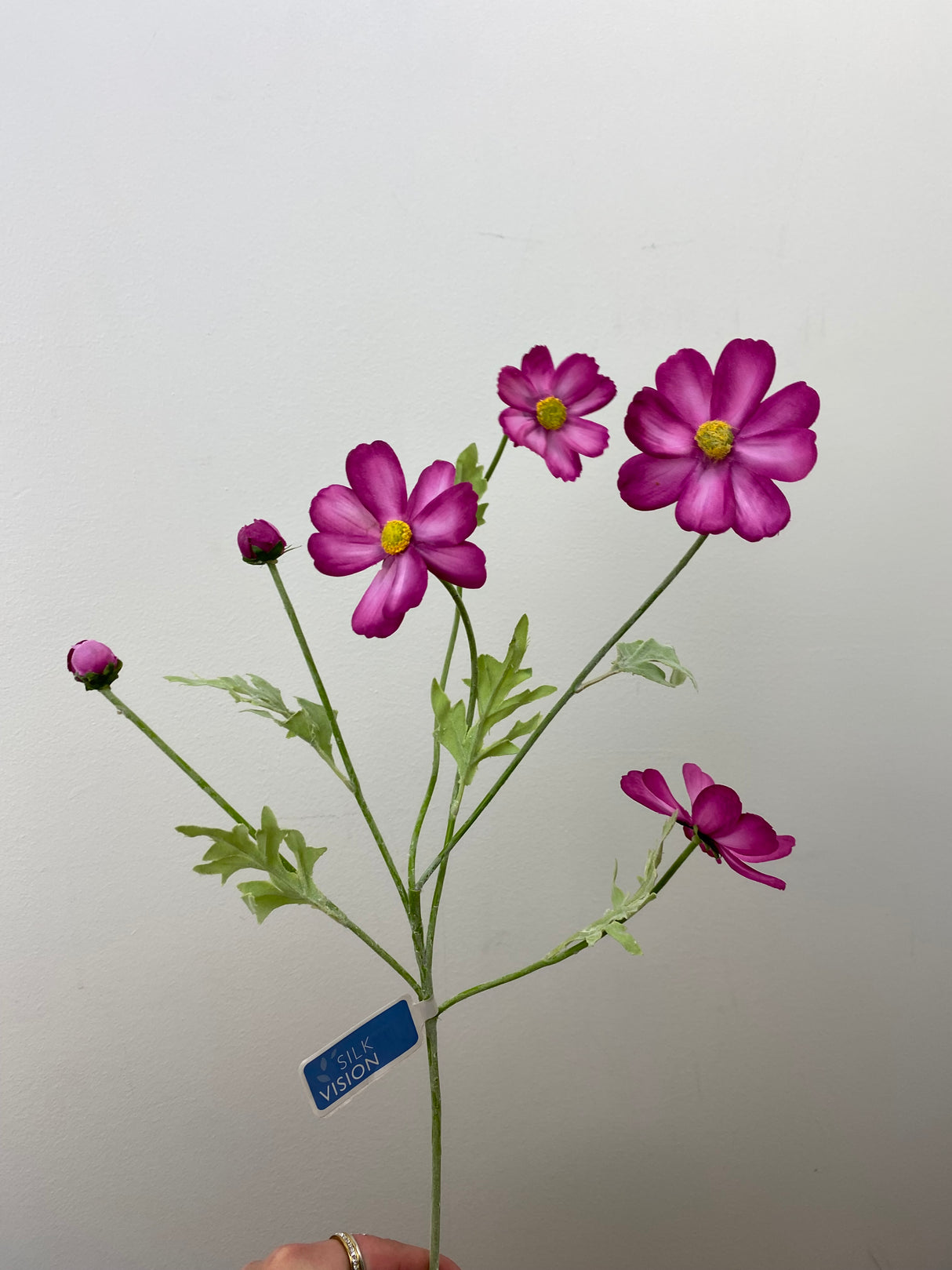 Pink Beauty Cosmos Spray