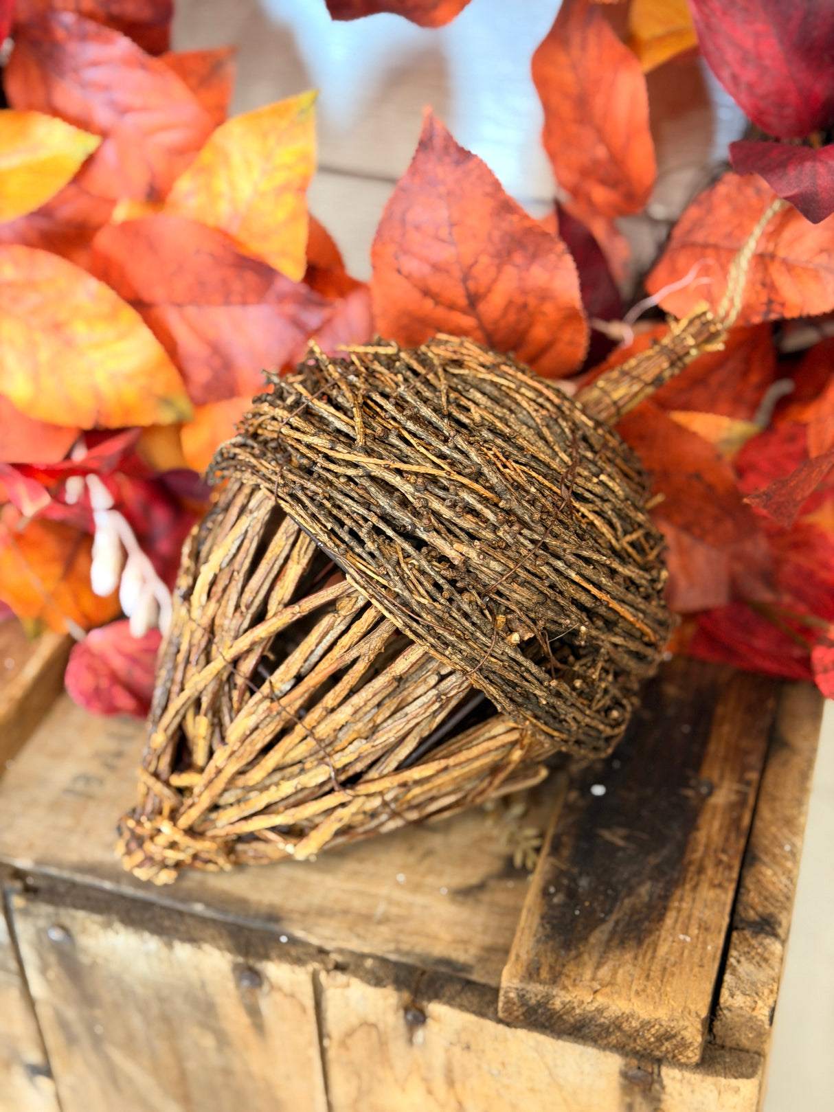 Raven Vine Hanging Acorn