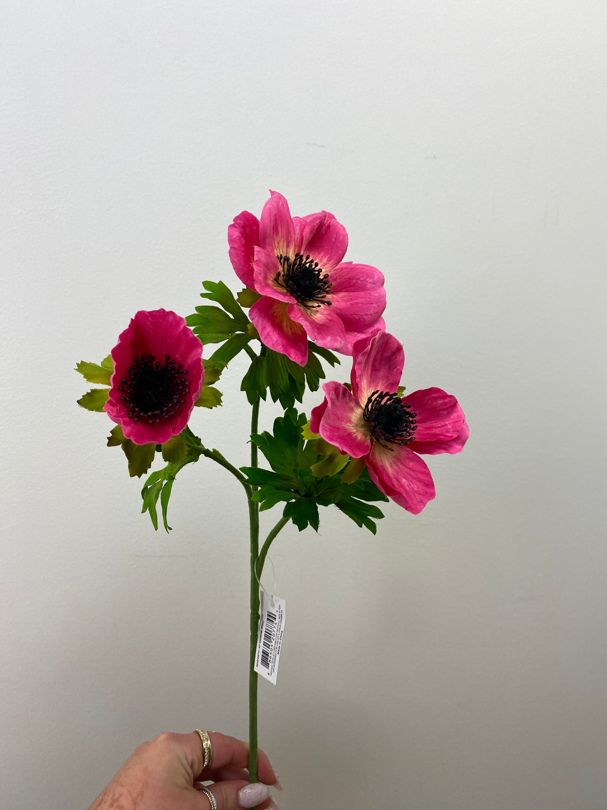 Mia Beauty Anemone Spray