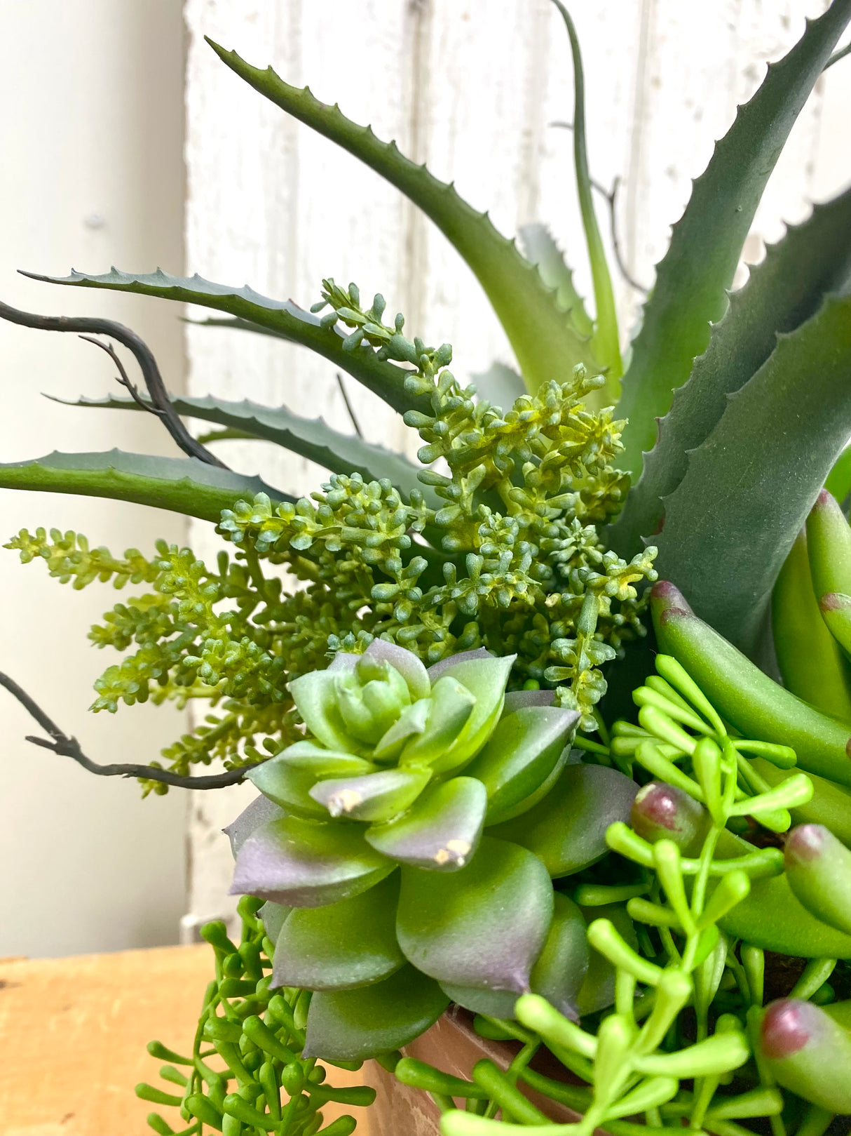 15" UV Protect A Day In The Sun Planter