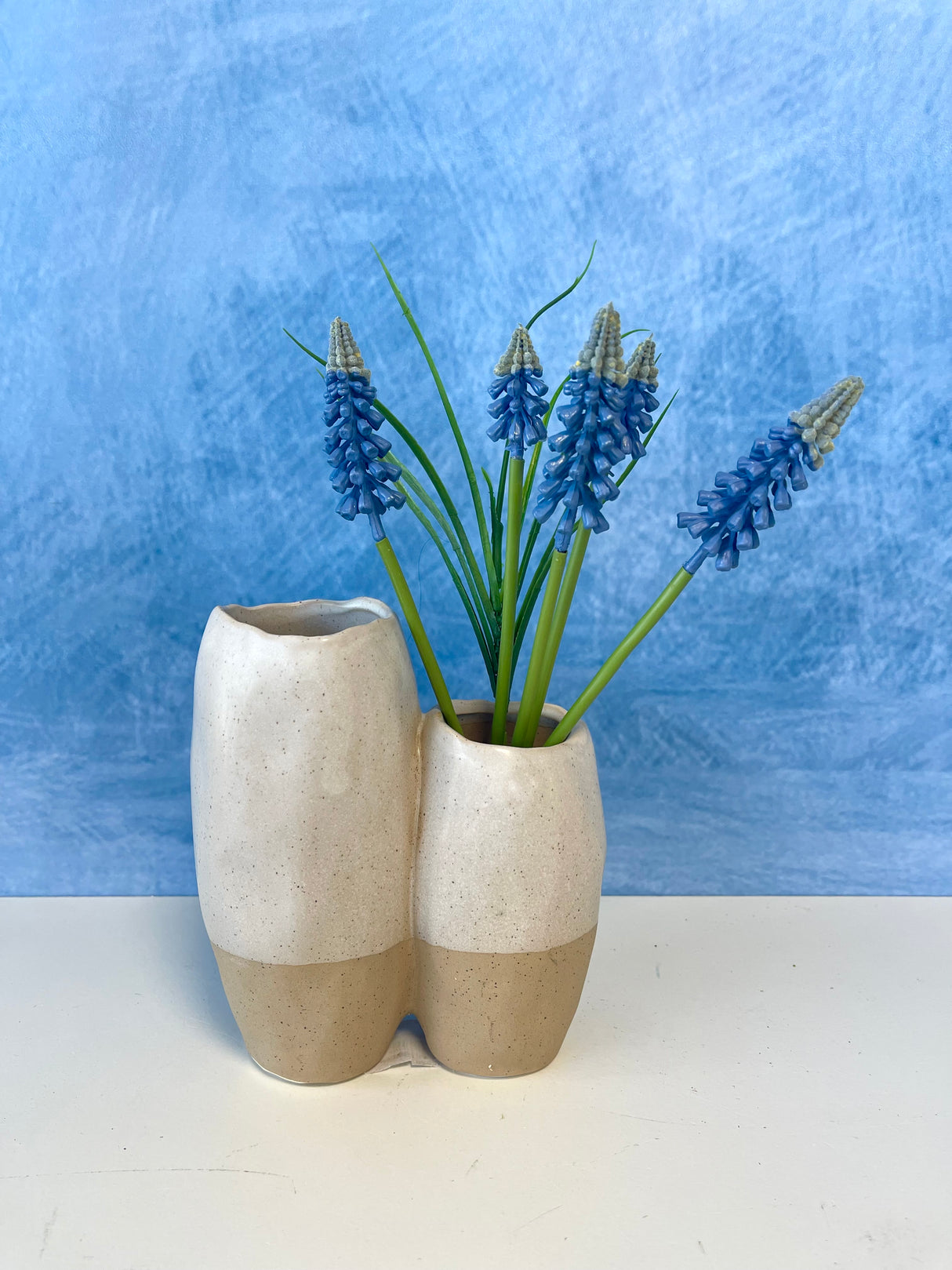 Blue Muscari Bundle