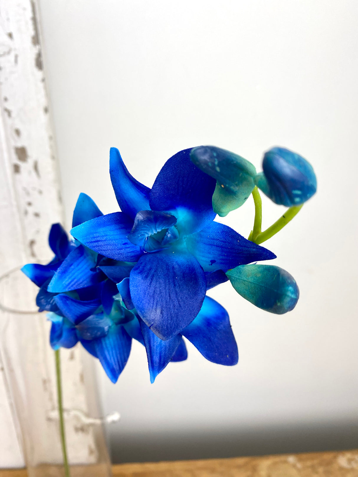Real Touch Dendrobium Orchid Stem