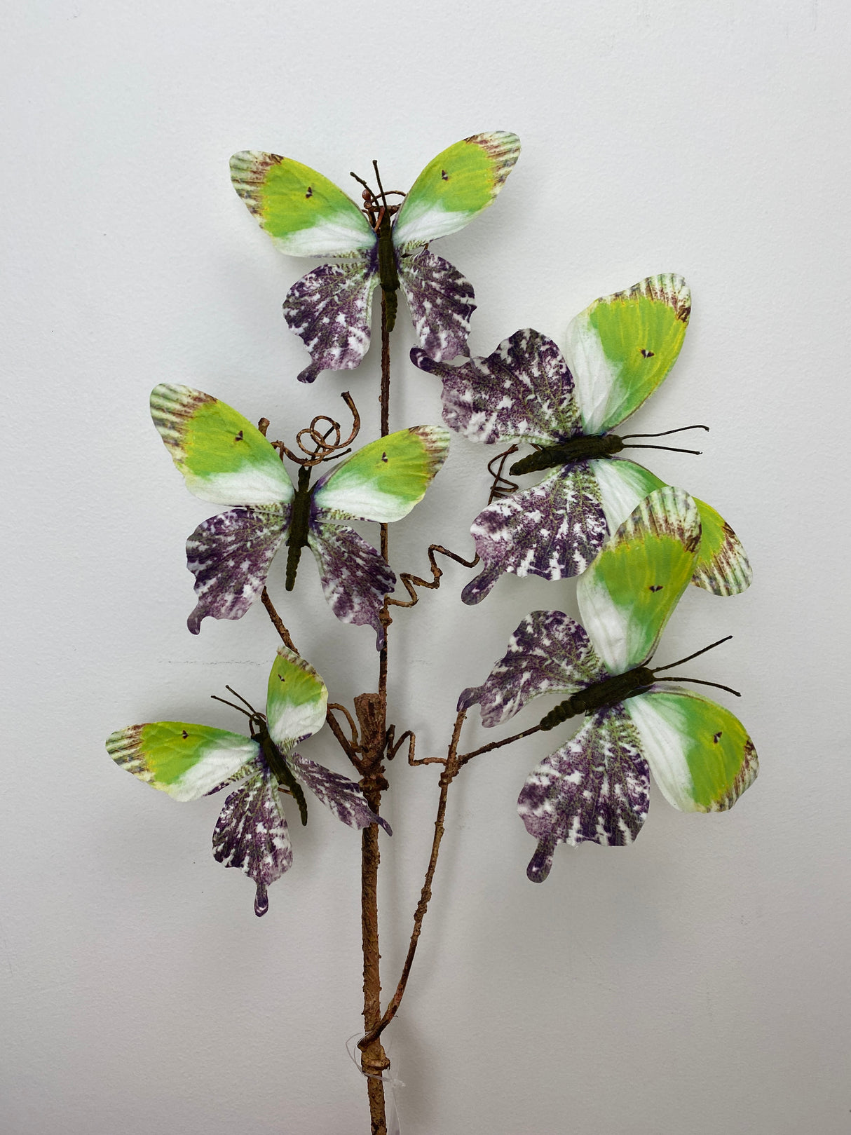 Green Purple Into the Field Butterfly Spray