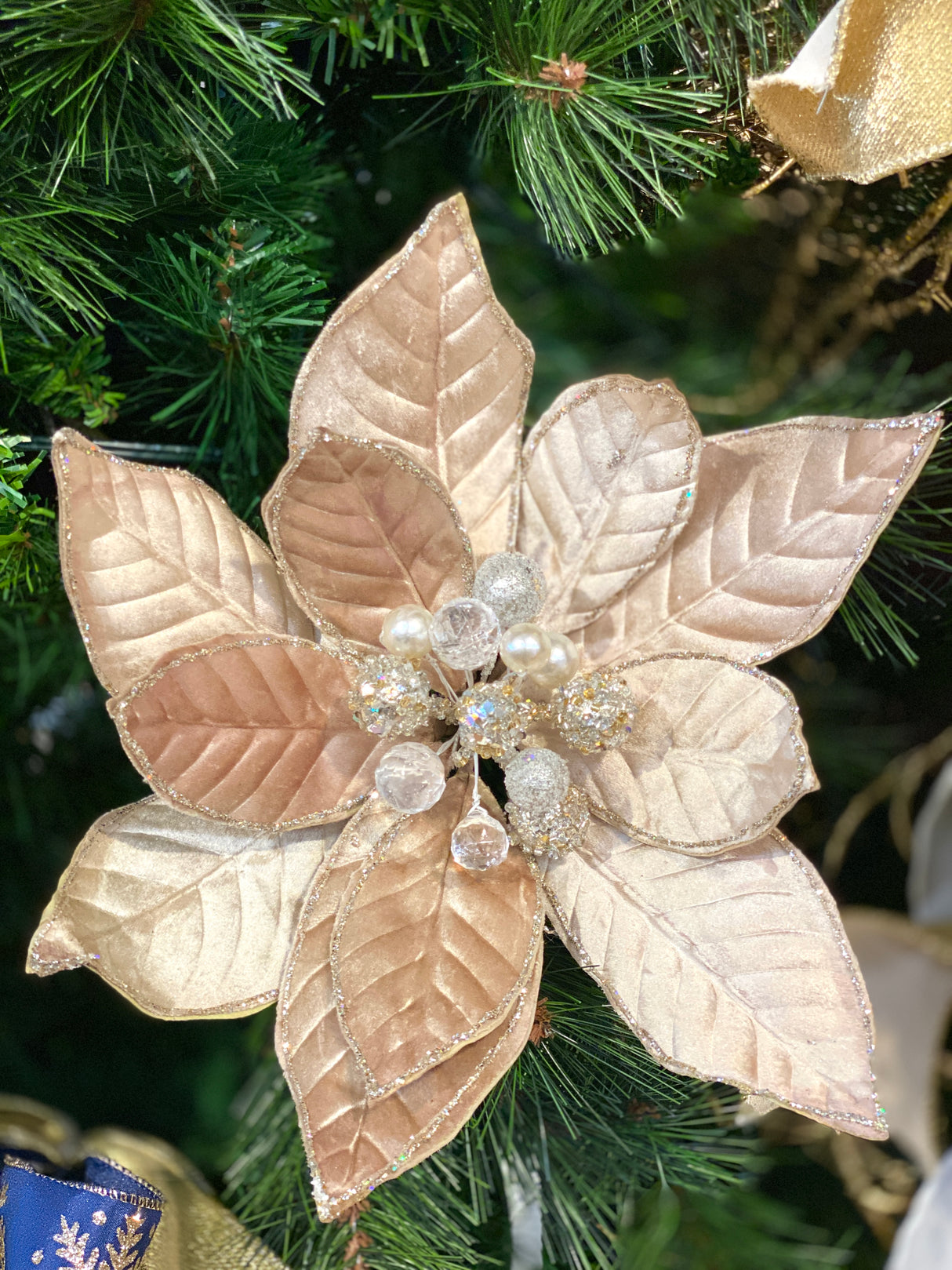 Champagne Toast Poinsettia Stem
