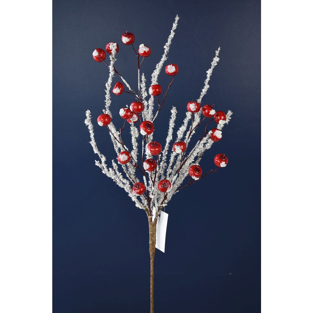 Red Ice Crabapple Branch