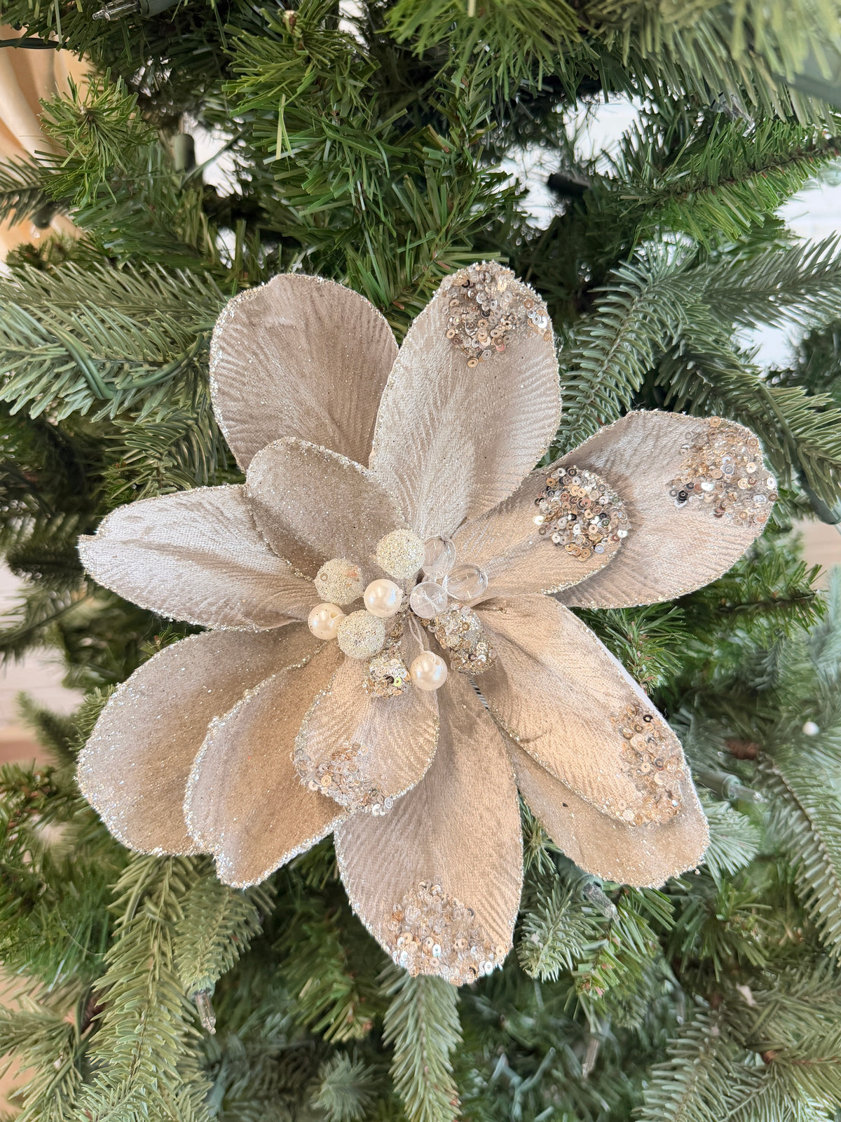 Platinum Champagne Jewel Magnolia Stem