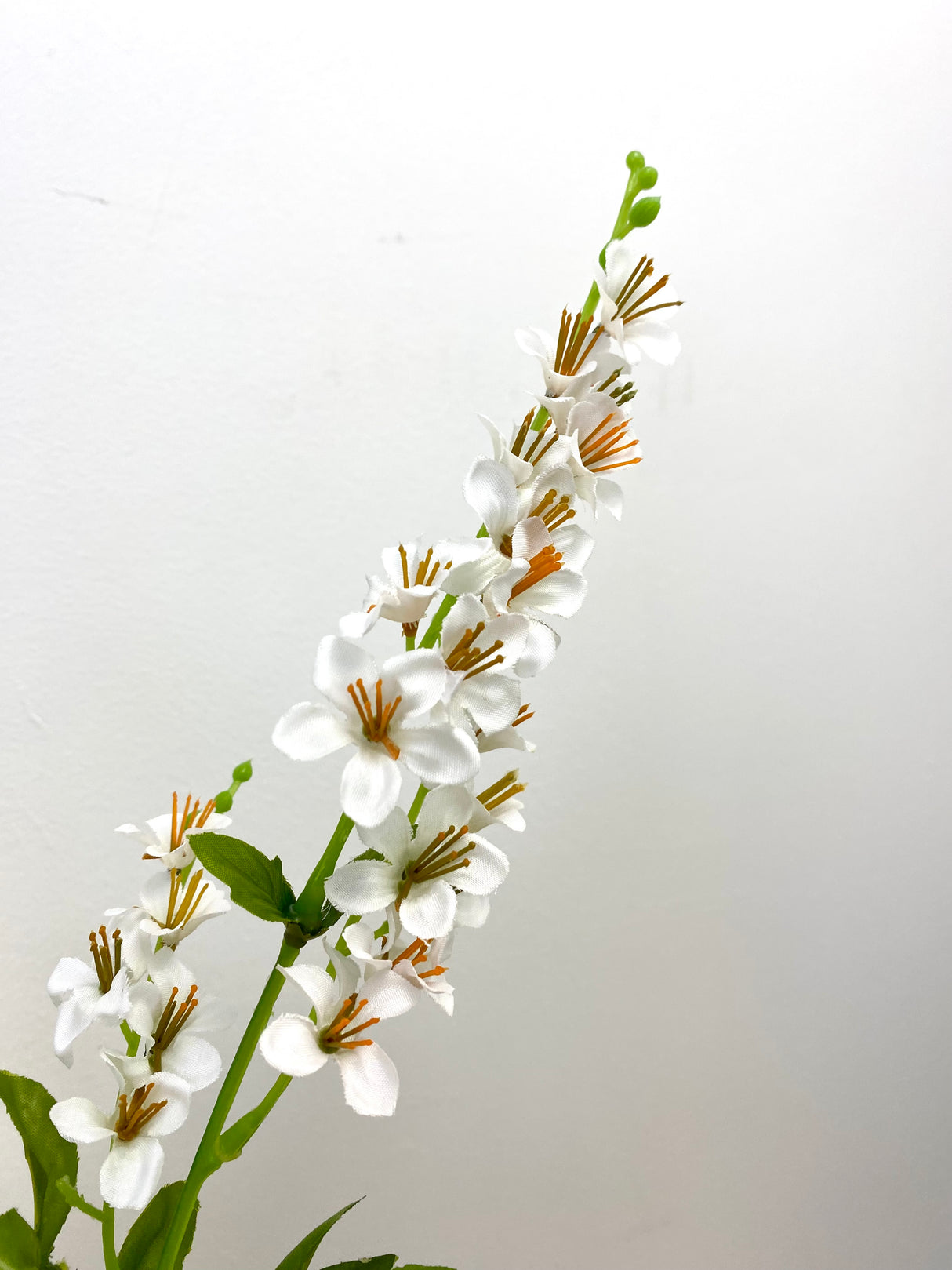 White Vinca Spray