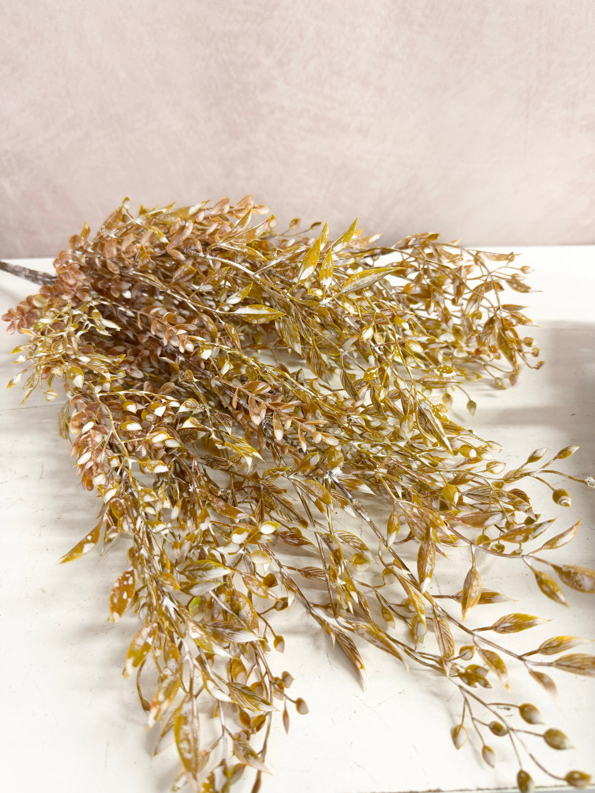 Ambermist Sage Bush