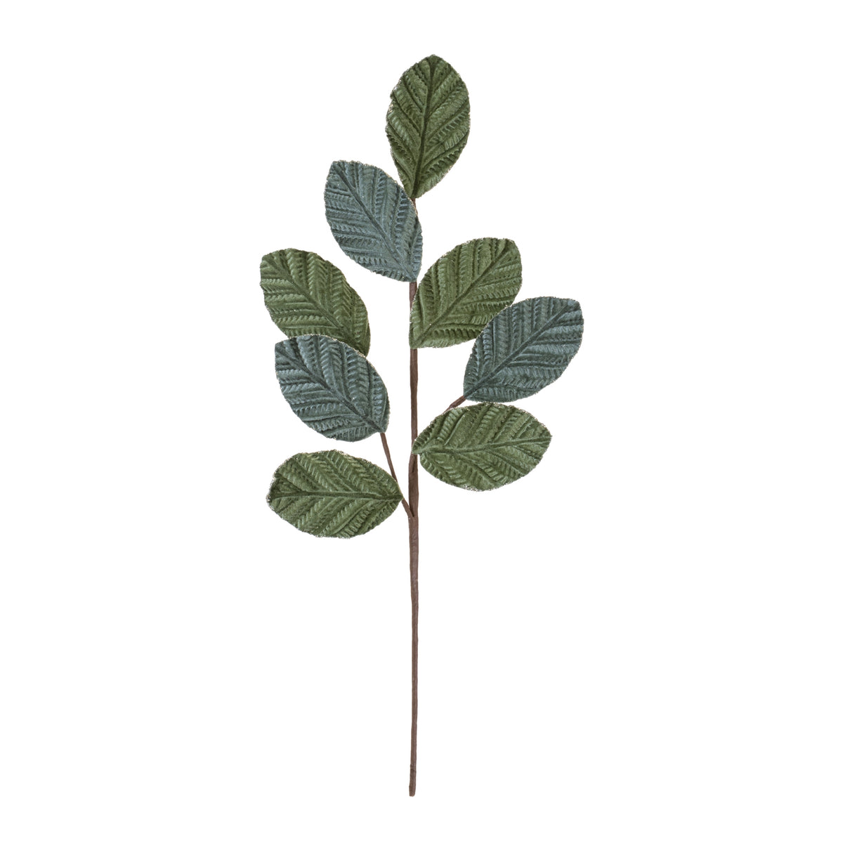 Blue Green Leaf Spray