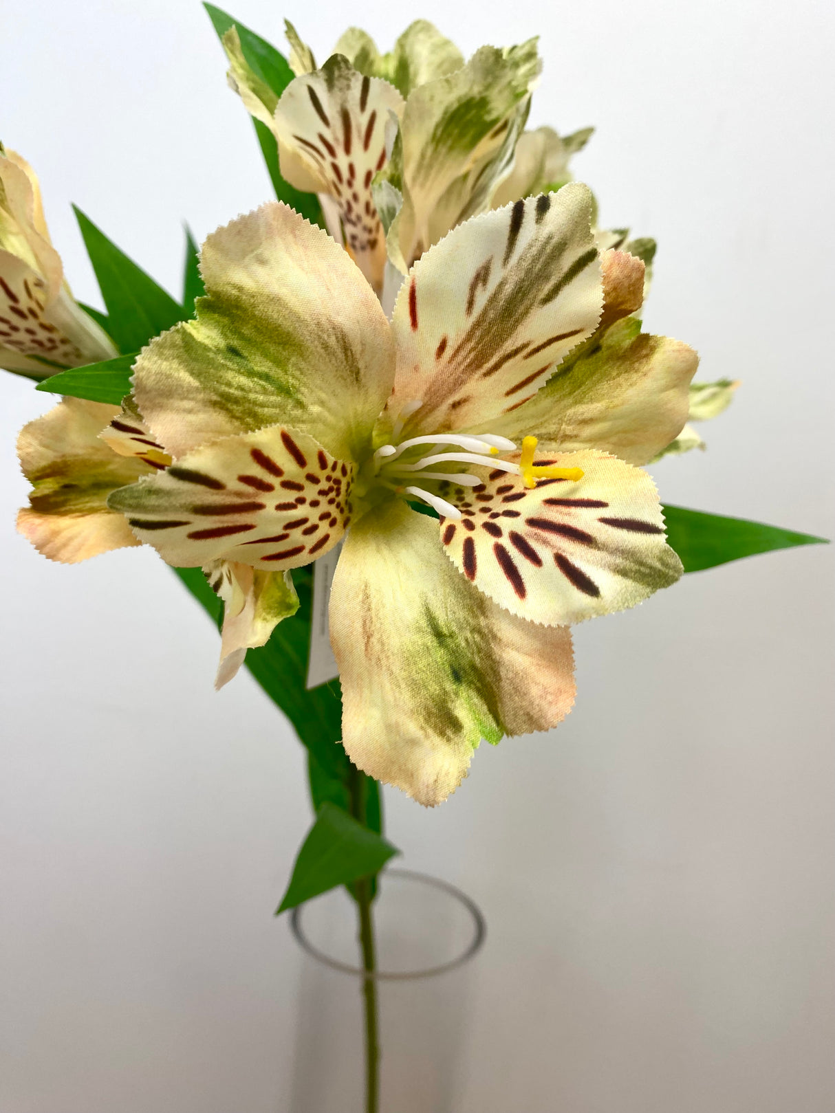 Yellow Alstromeria Spray