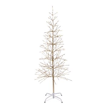 5.5' Champagne Birch Lighted Tree