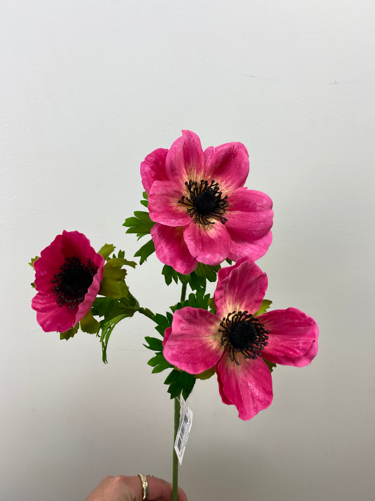 Mia Beauty Anemone Spray