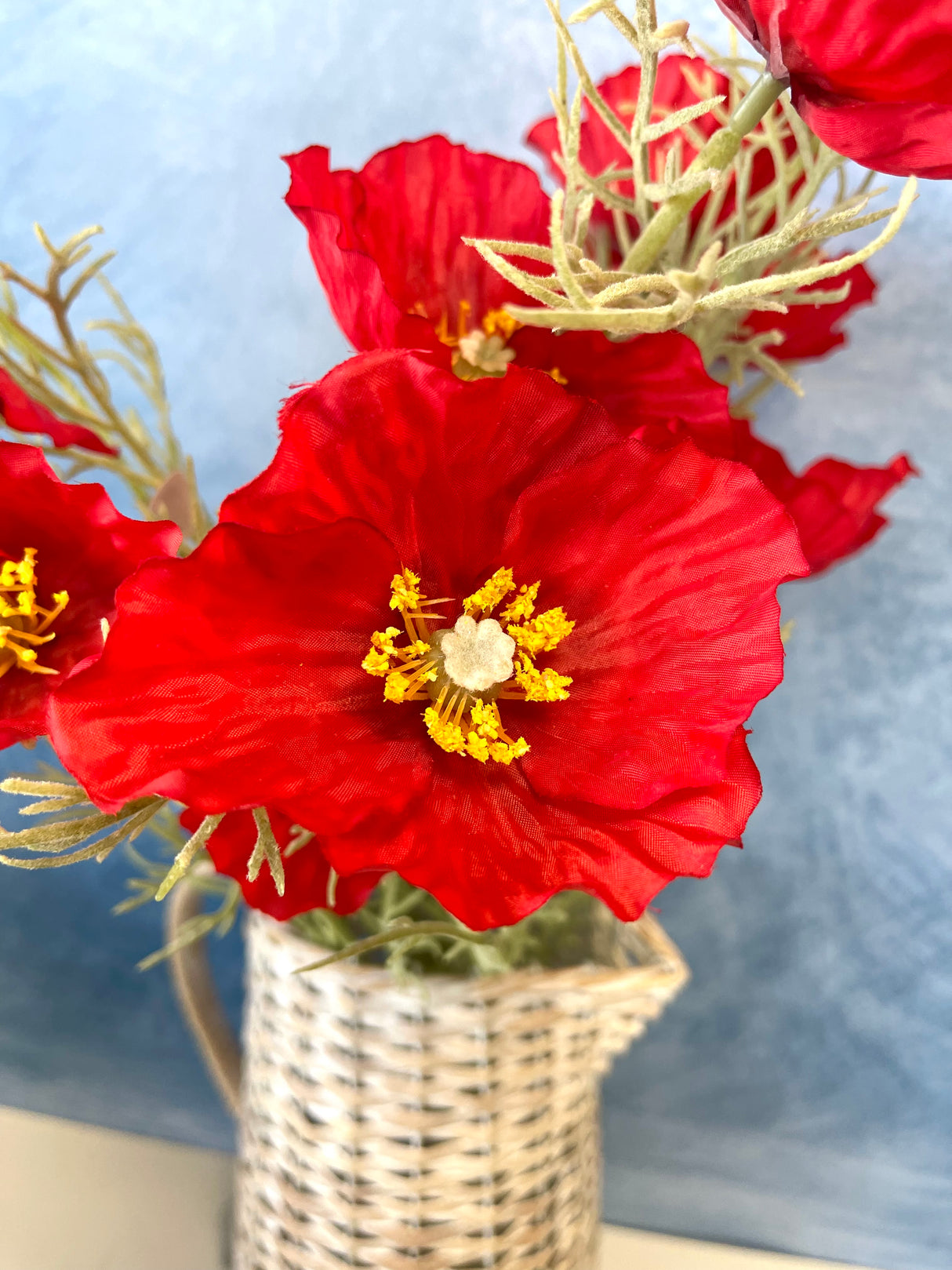 Wild Red Poppy Bush
