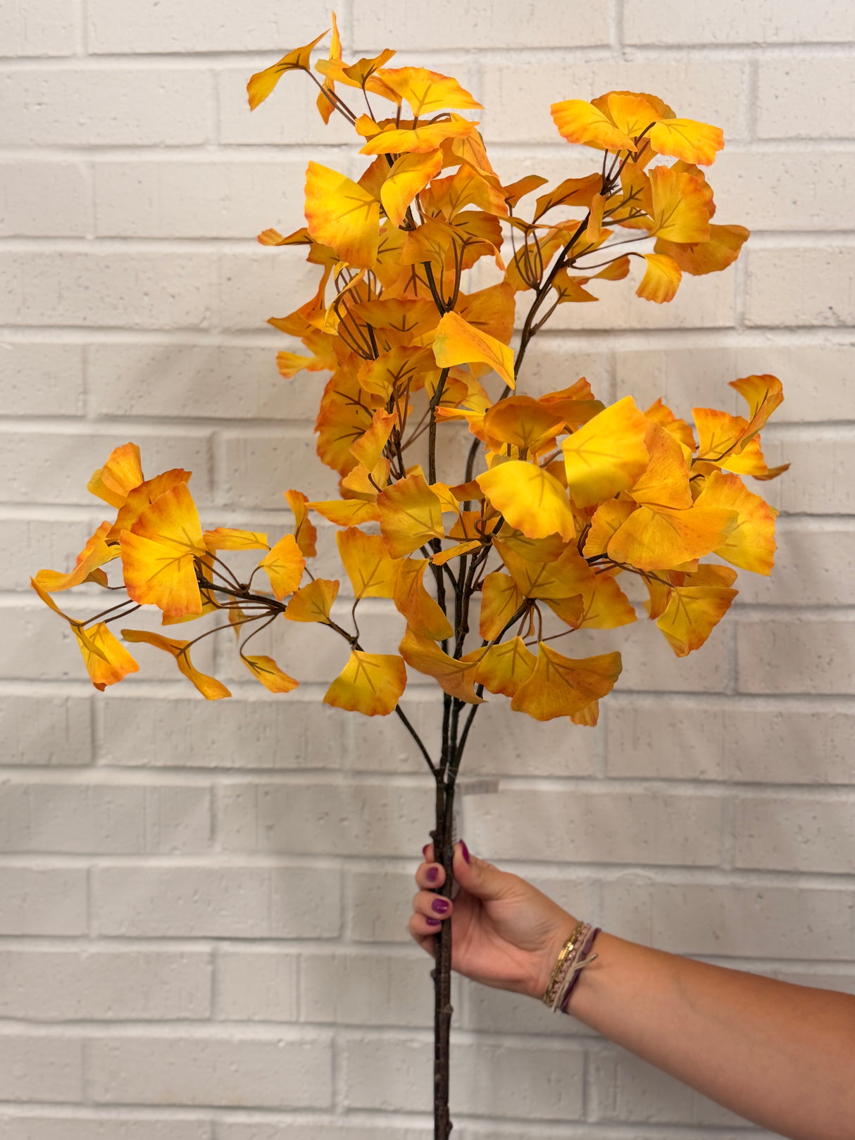 Yellow Gingko Leaf Spray