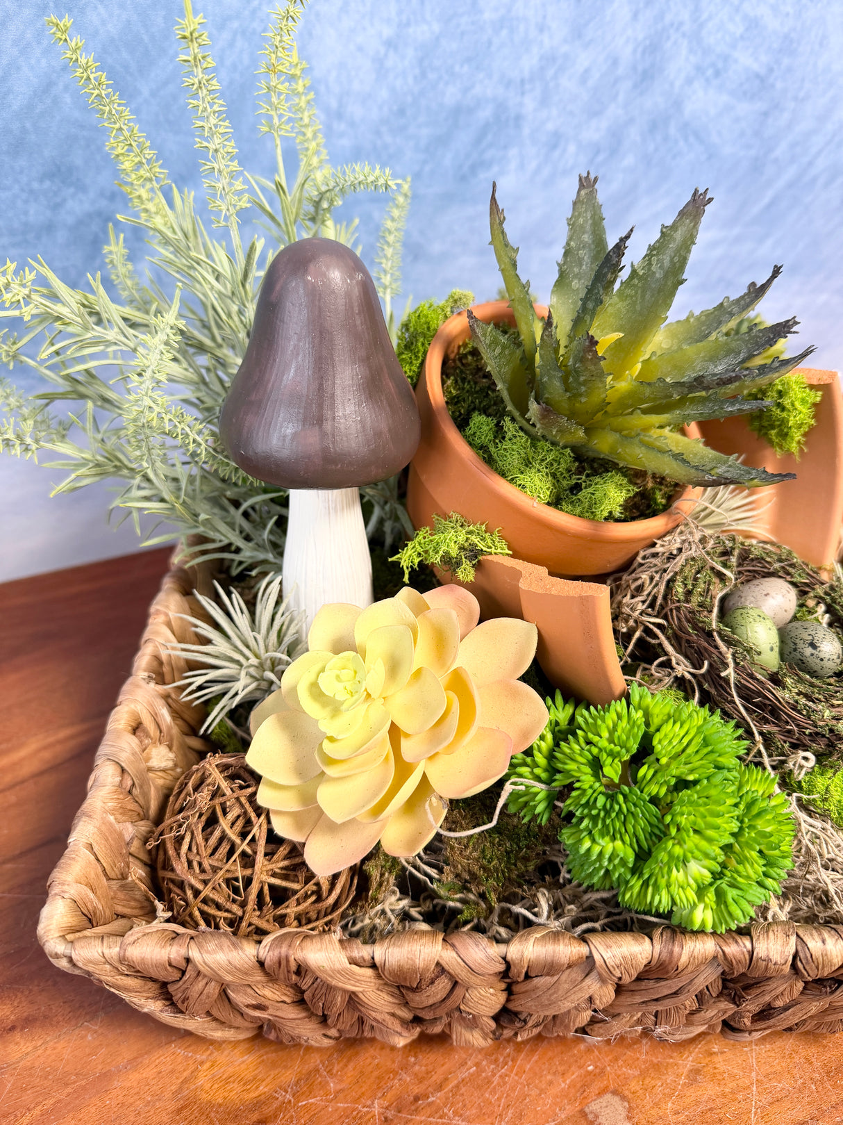 12" Succulent Garden Dish Centerpiece