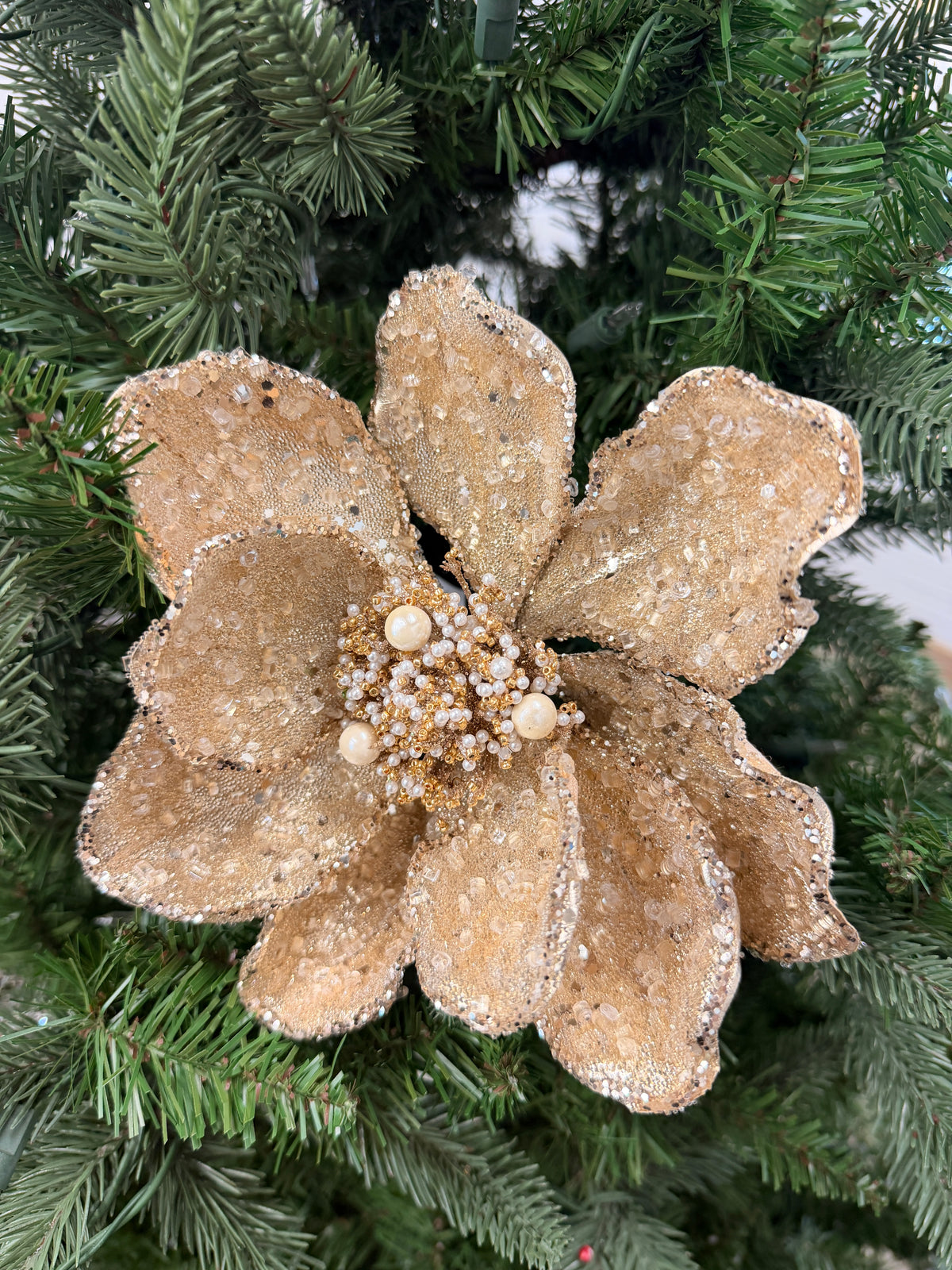 Bead & Ice Magnolia