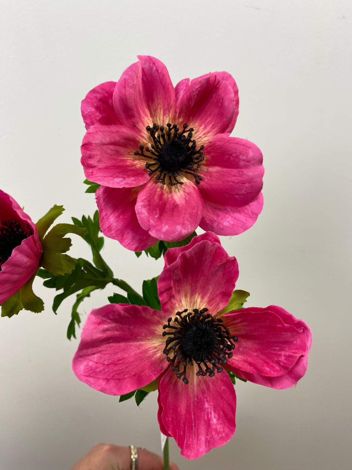 Mia Beauty Anemone Spray