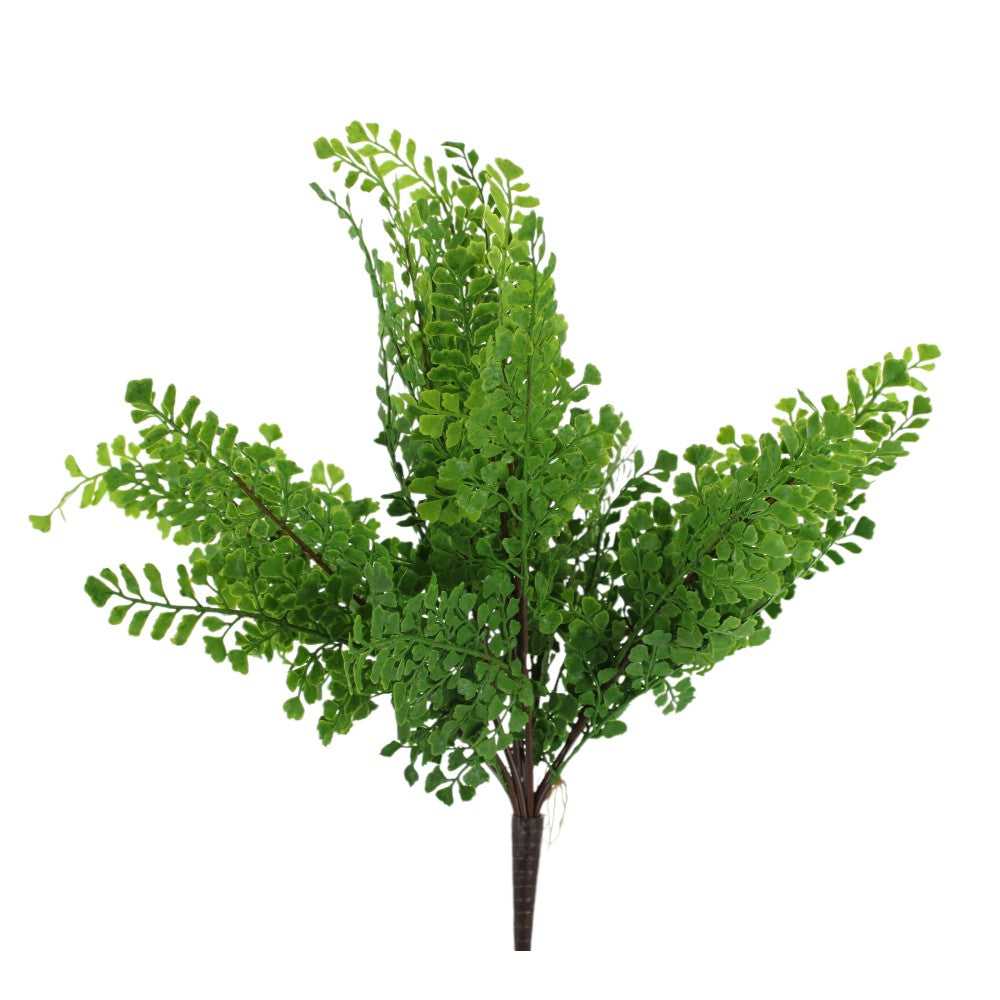 Beatrice Soft Touch Maidenhair Bush