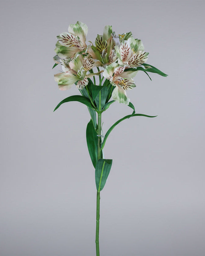 Yellow Alstromeria Spray