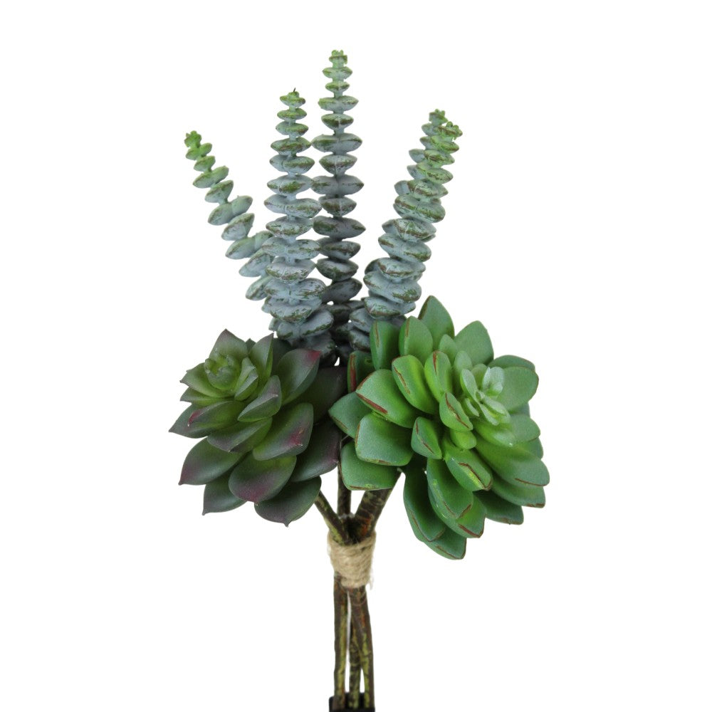 UV Protect Mixed Succulent Bundle