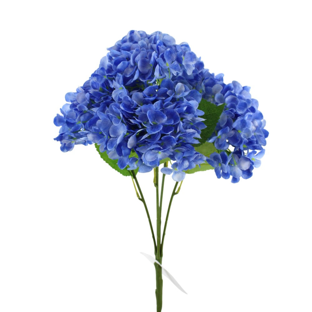 Lottie Blue Hydrangea Bush