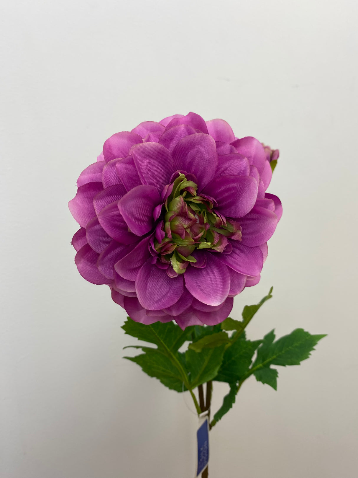Purple Dahlia Spray