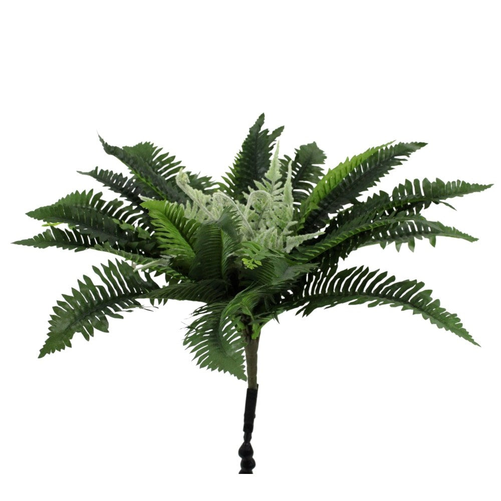 UV Protect Cleo Boston Fern Bush