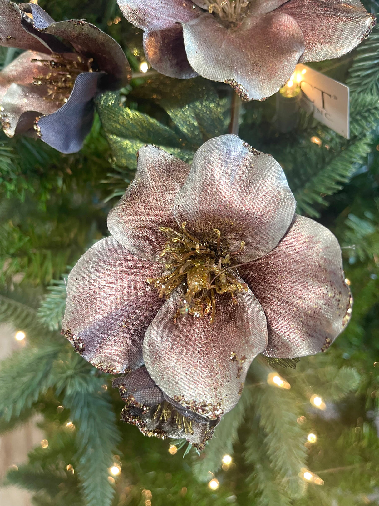 Mauve Christmas Rose Spray