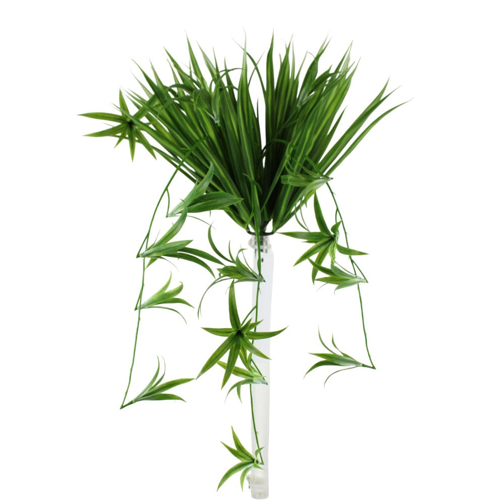 UV Protect Spider Plant Hanging Bush