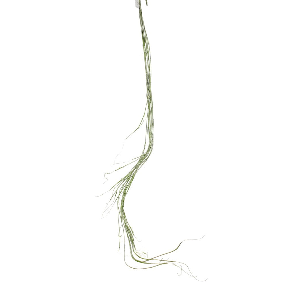 80" Ava Gray Willow Bendy Vine