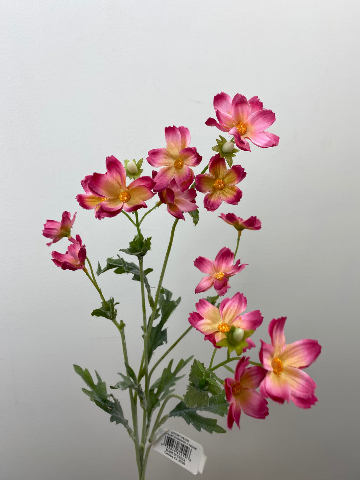 Pink Baby Cosmos Spray