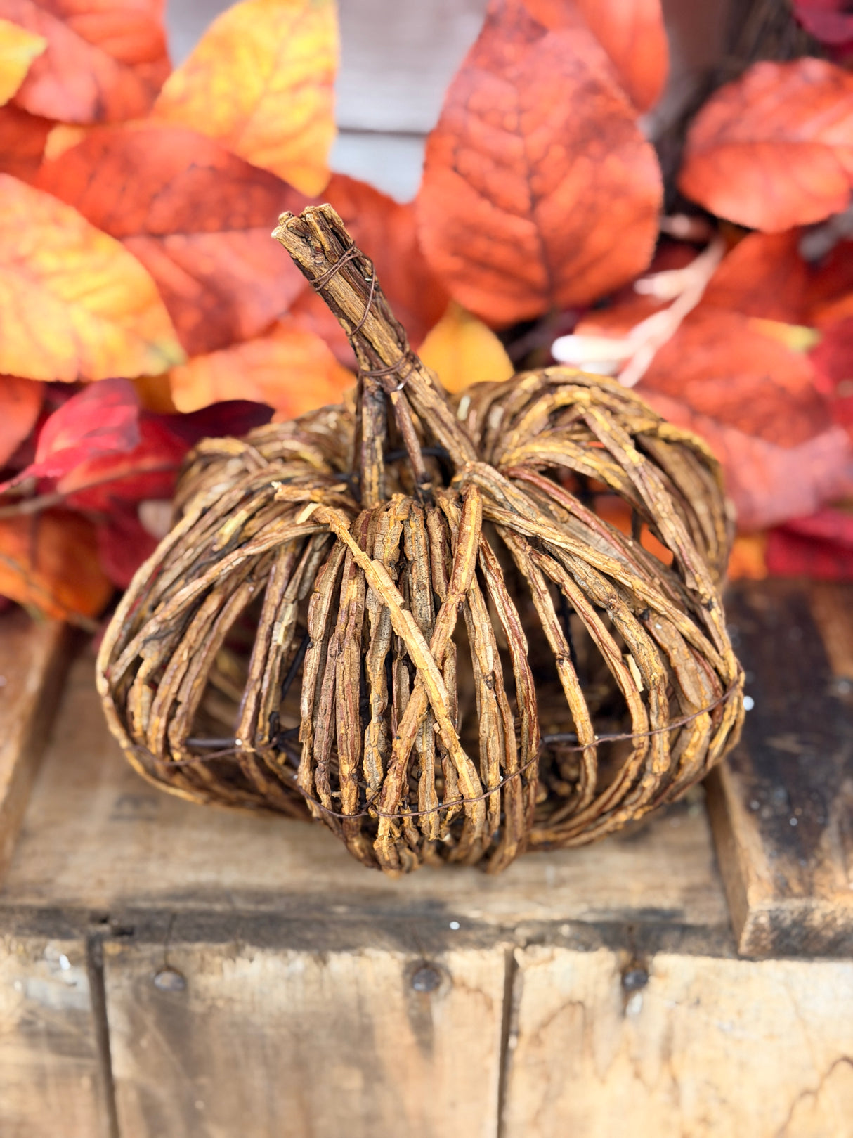 Raven Small Vine Pumpkin