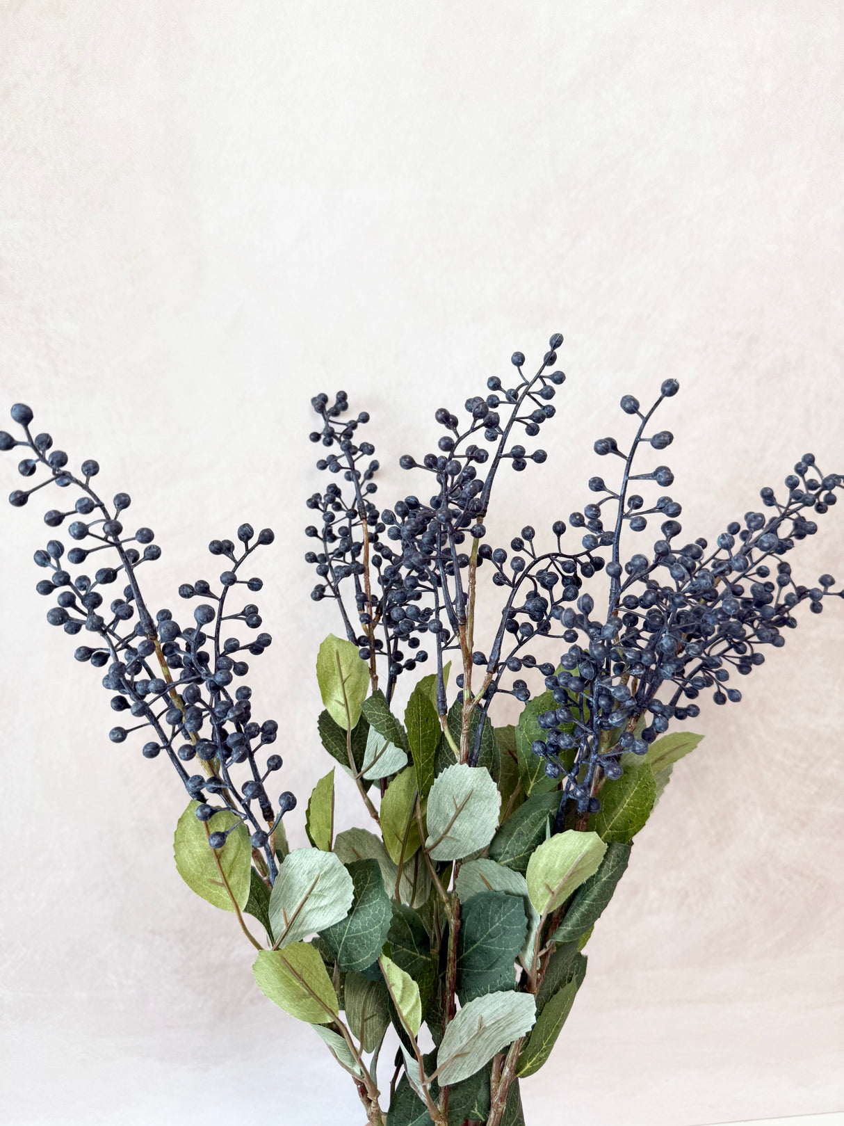 Dark Blue Foliage Seed Bush
