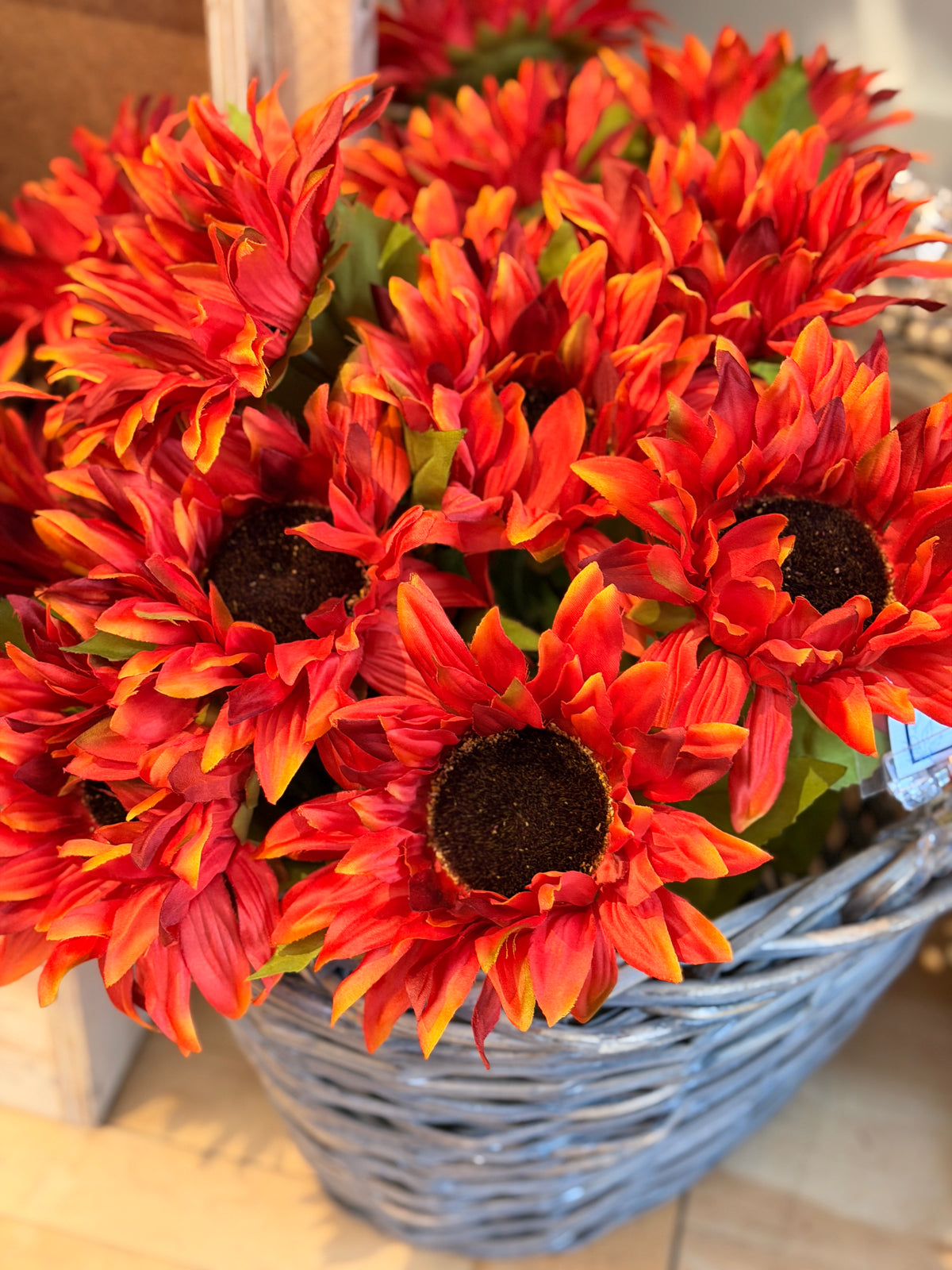 Rust Sunflower Bush
