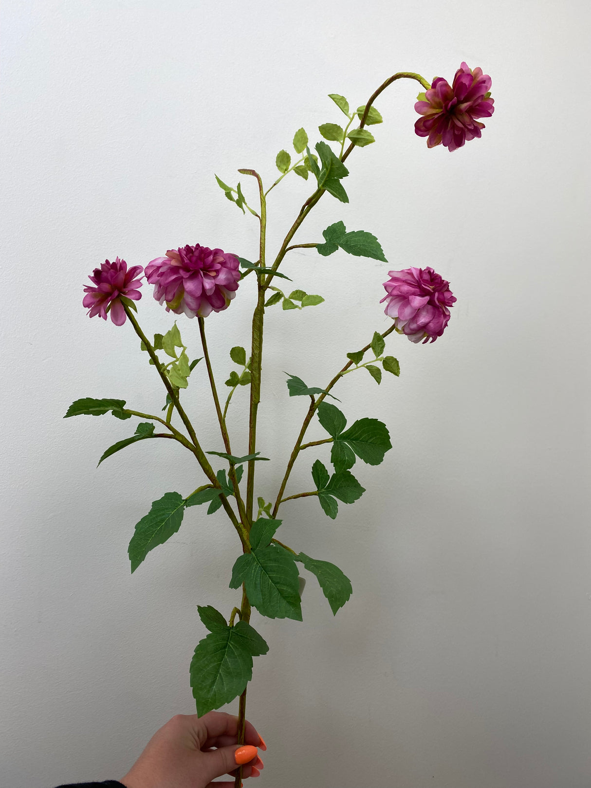 Hot Pink Dahlia Spray