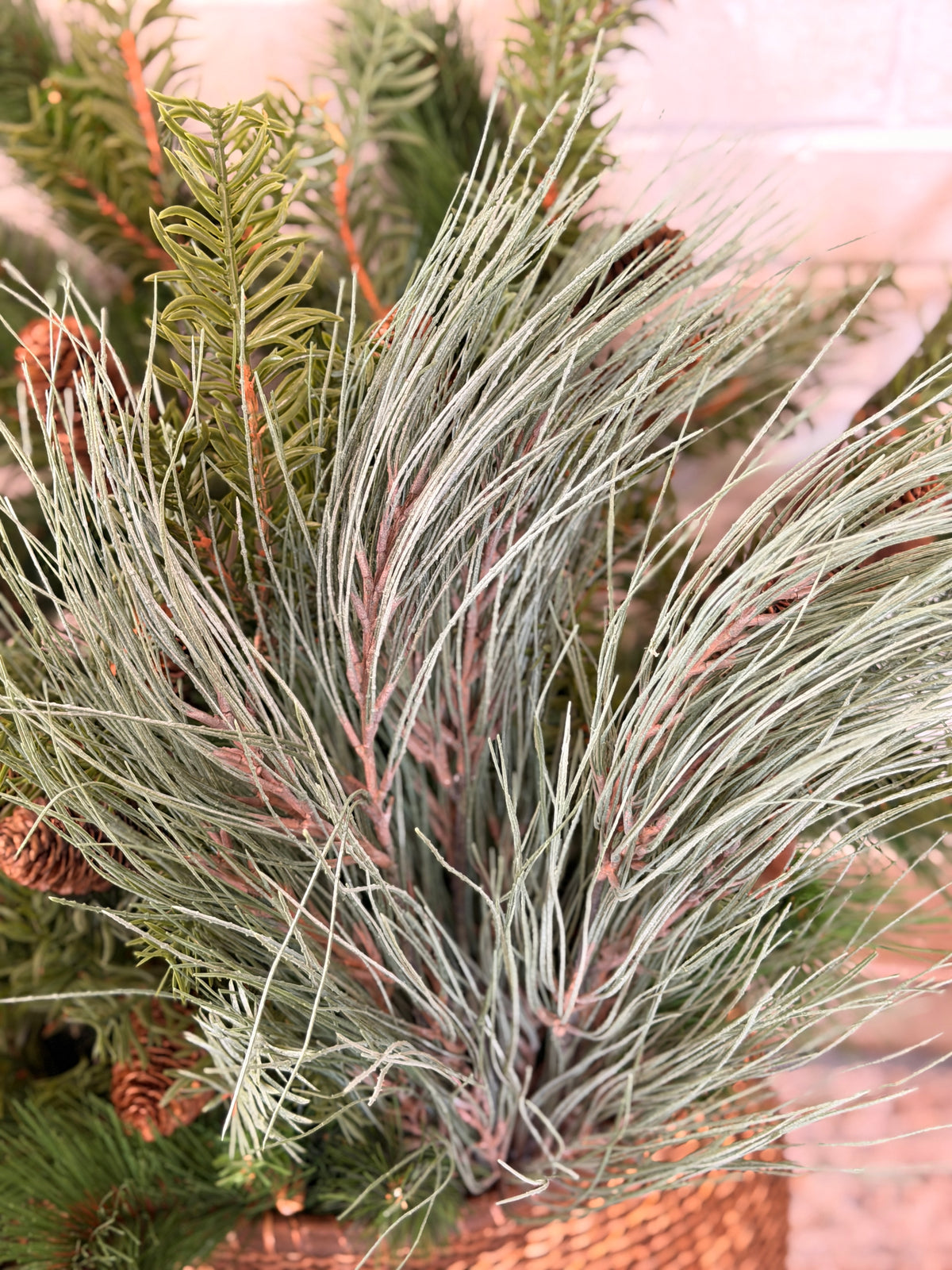 Gray Green Long Needle Pine Bundle