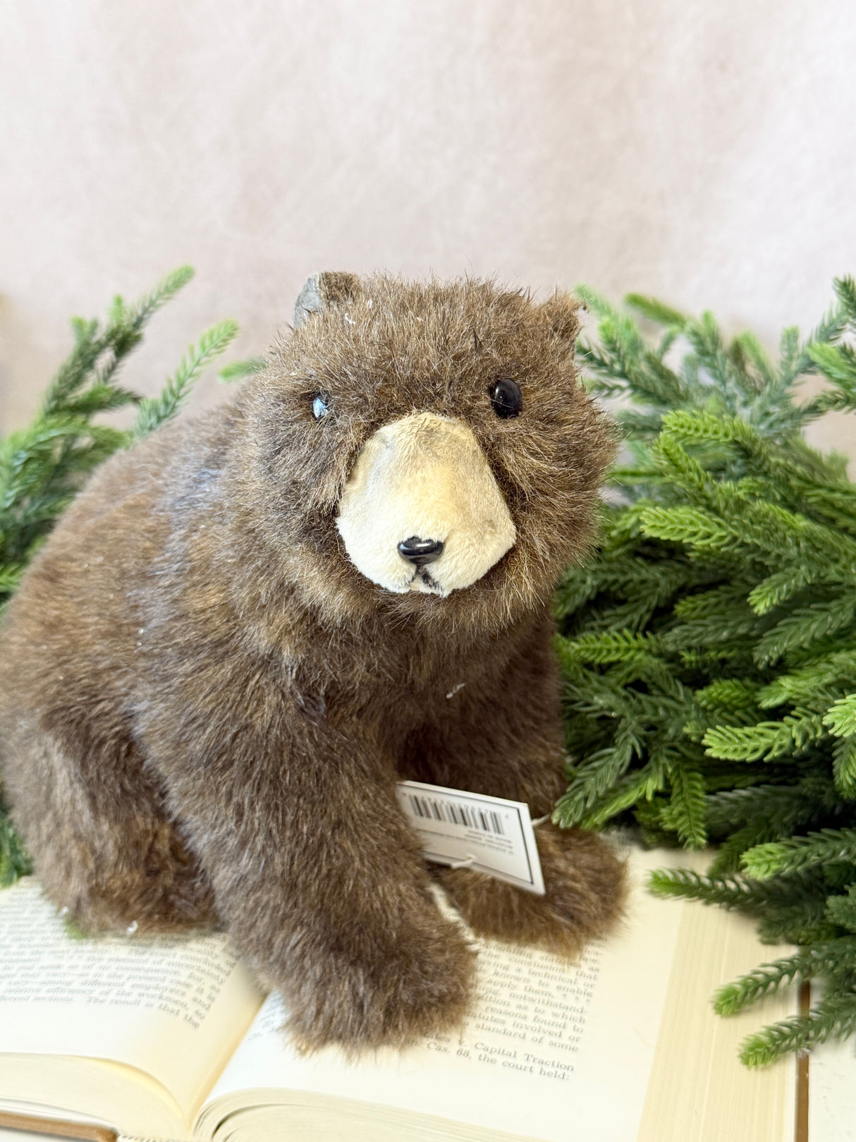 Sitting Brown Bear
