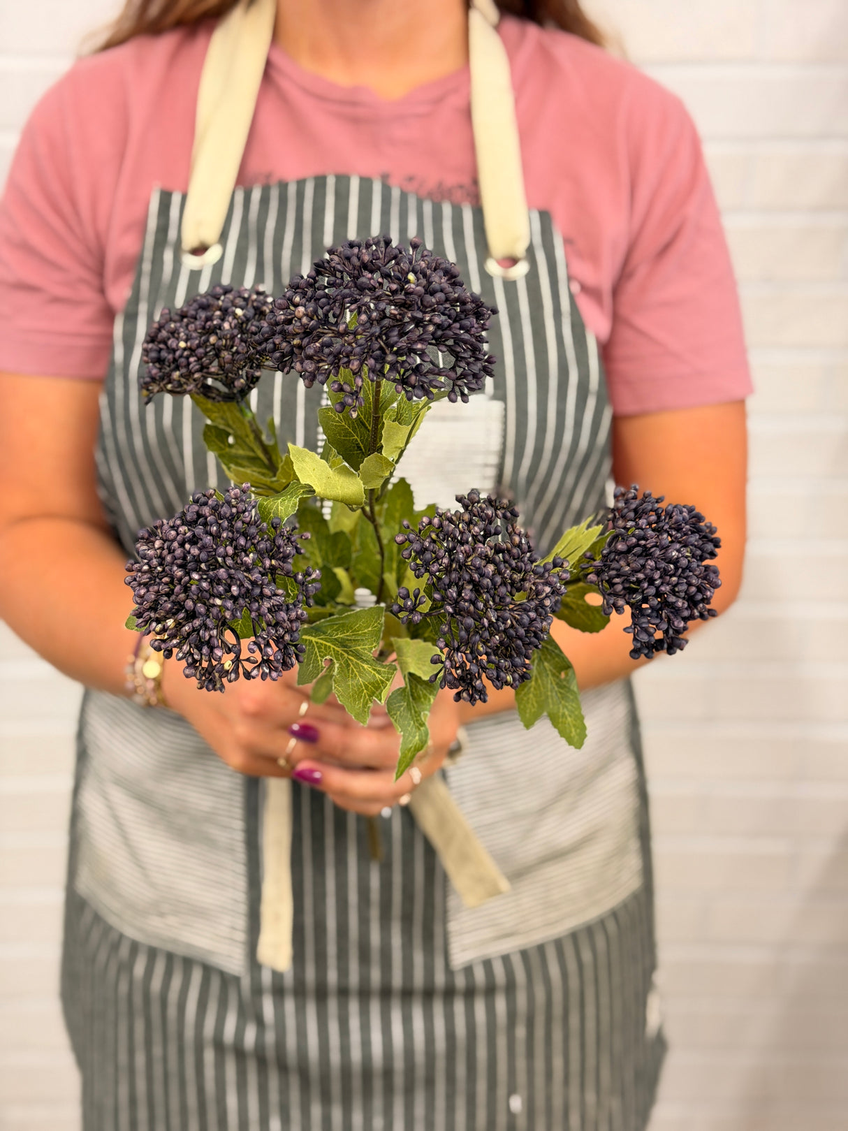 Eggplant Yarrow Bush