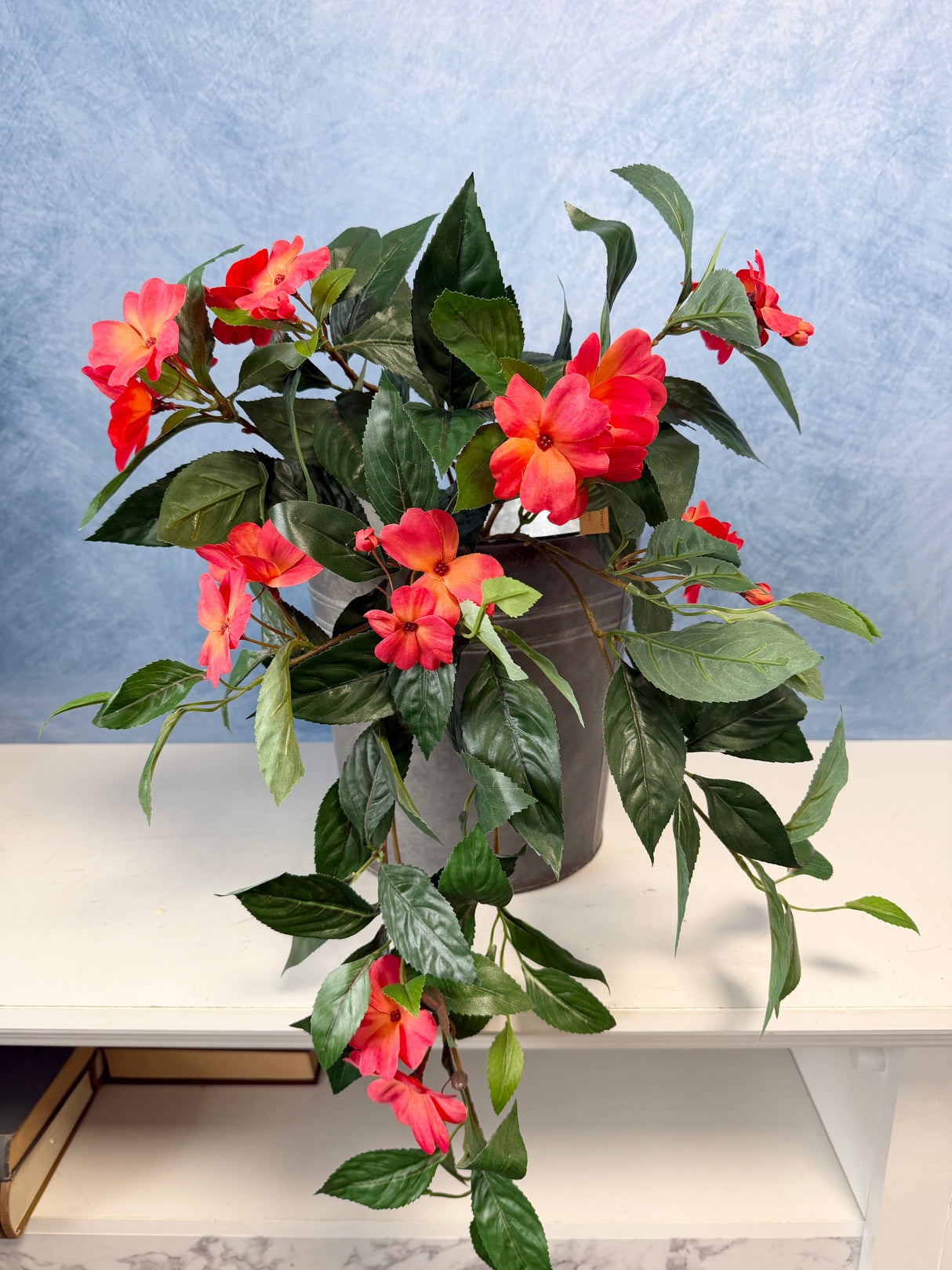 UV Protect Coral Impatiens Hanging Bush