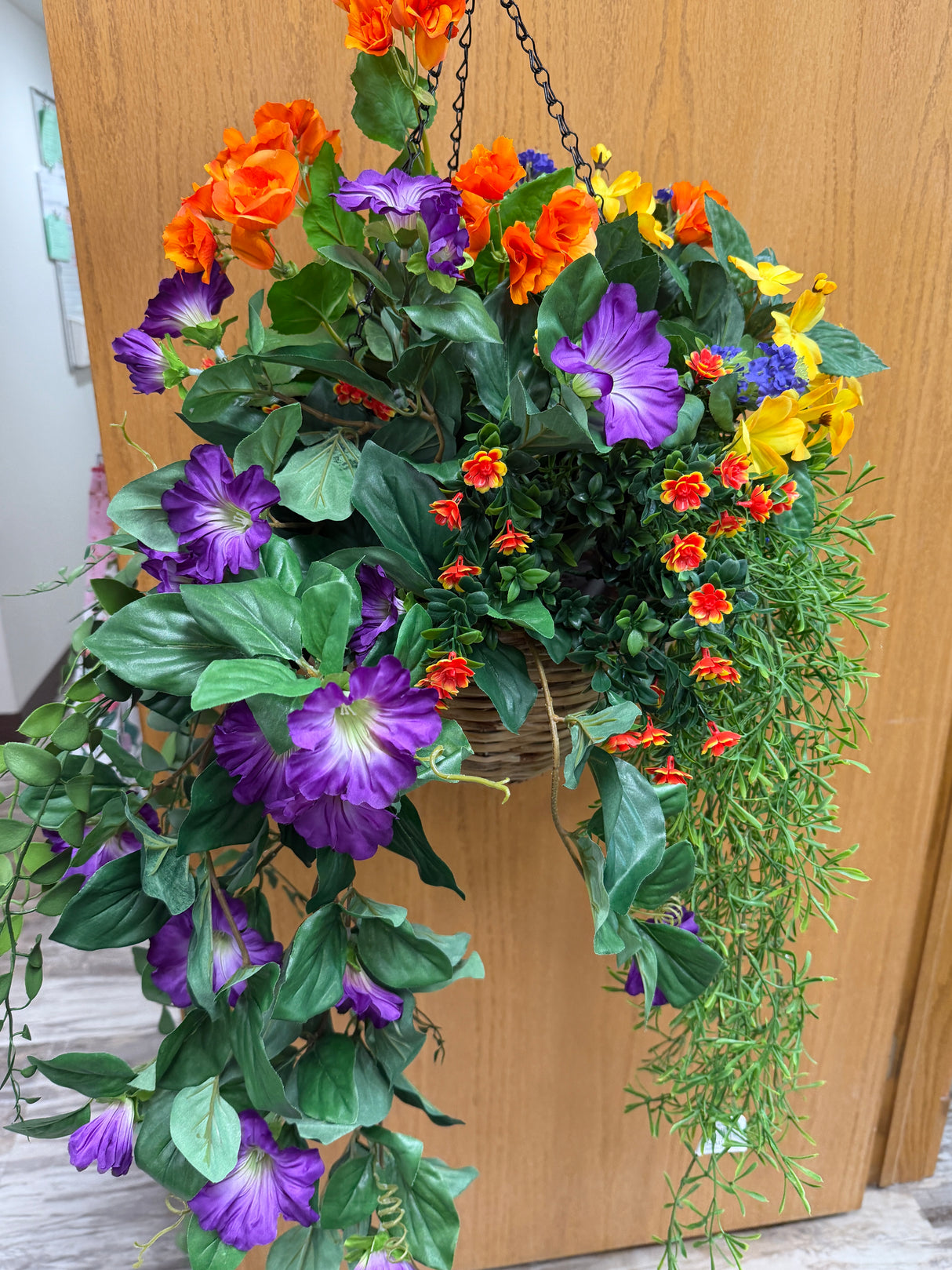 Spring Delight Hanging Basket Kit