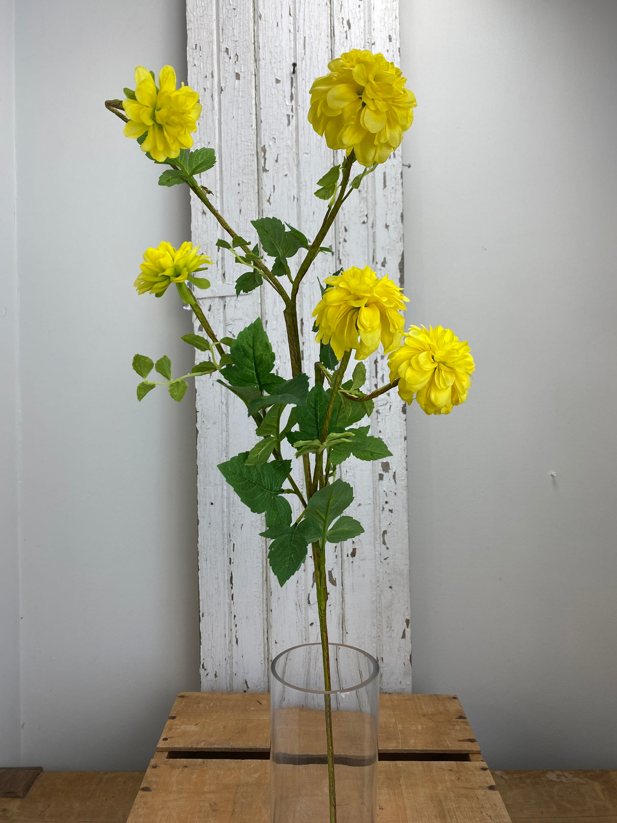 Yellow Dahlia Spray