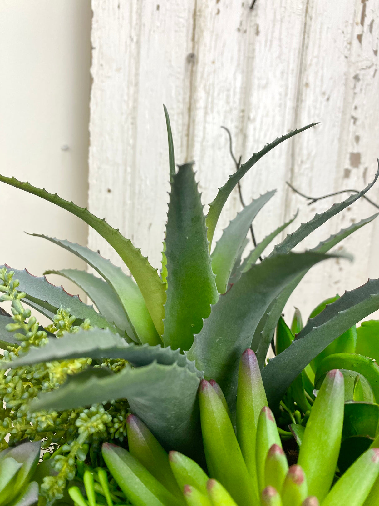 15" UV Protect A Day In The Sun Planter