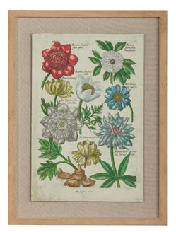 Vintage Botanical Framed Wall Art- 2 Styles