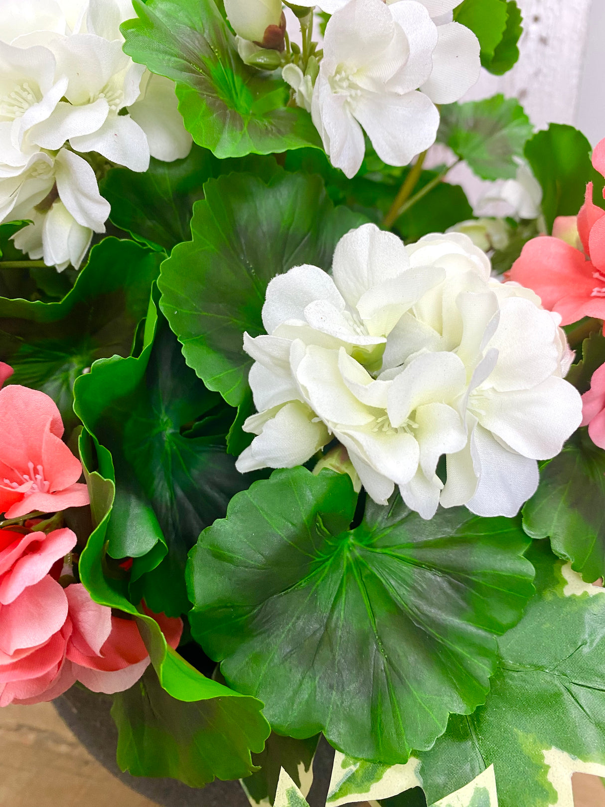 17" UV Protect Coral and White Geranium Pot-Filler