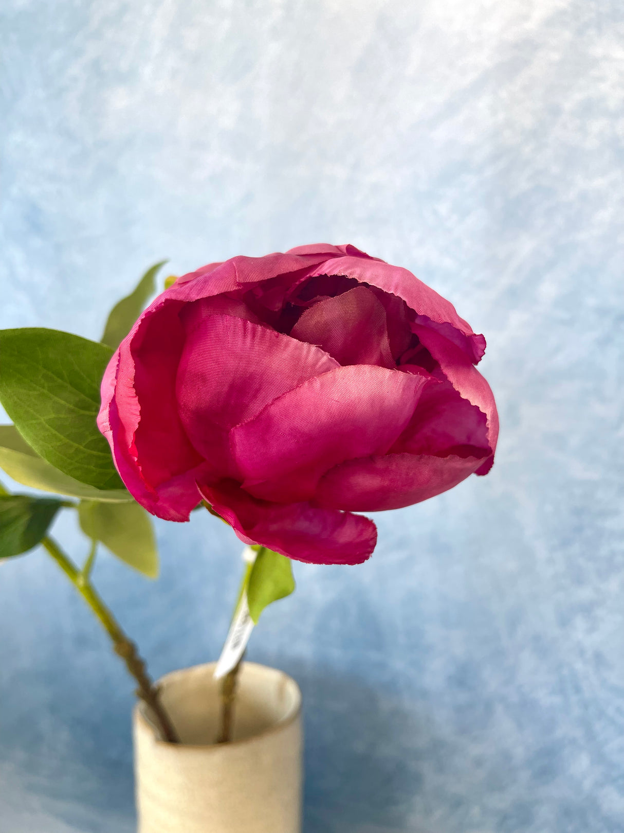 Beauty Peony Bud Spray