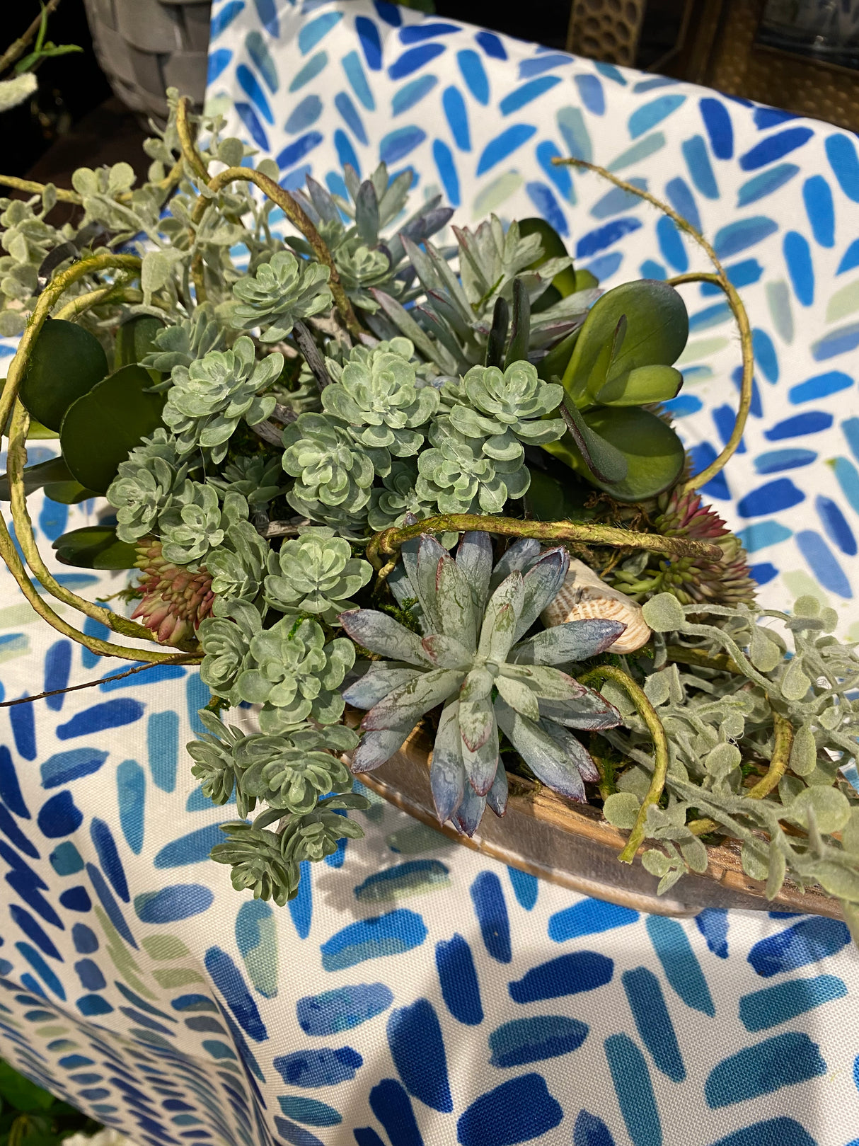 12" The Succulent Skipper Centerpiece