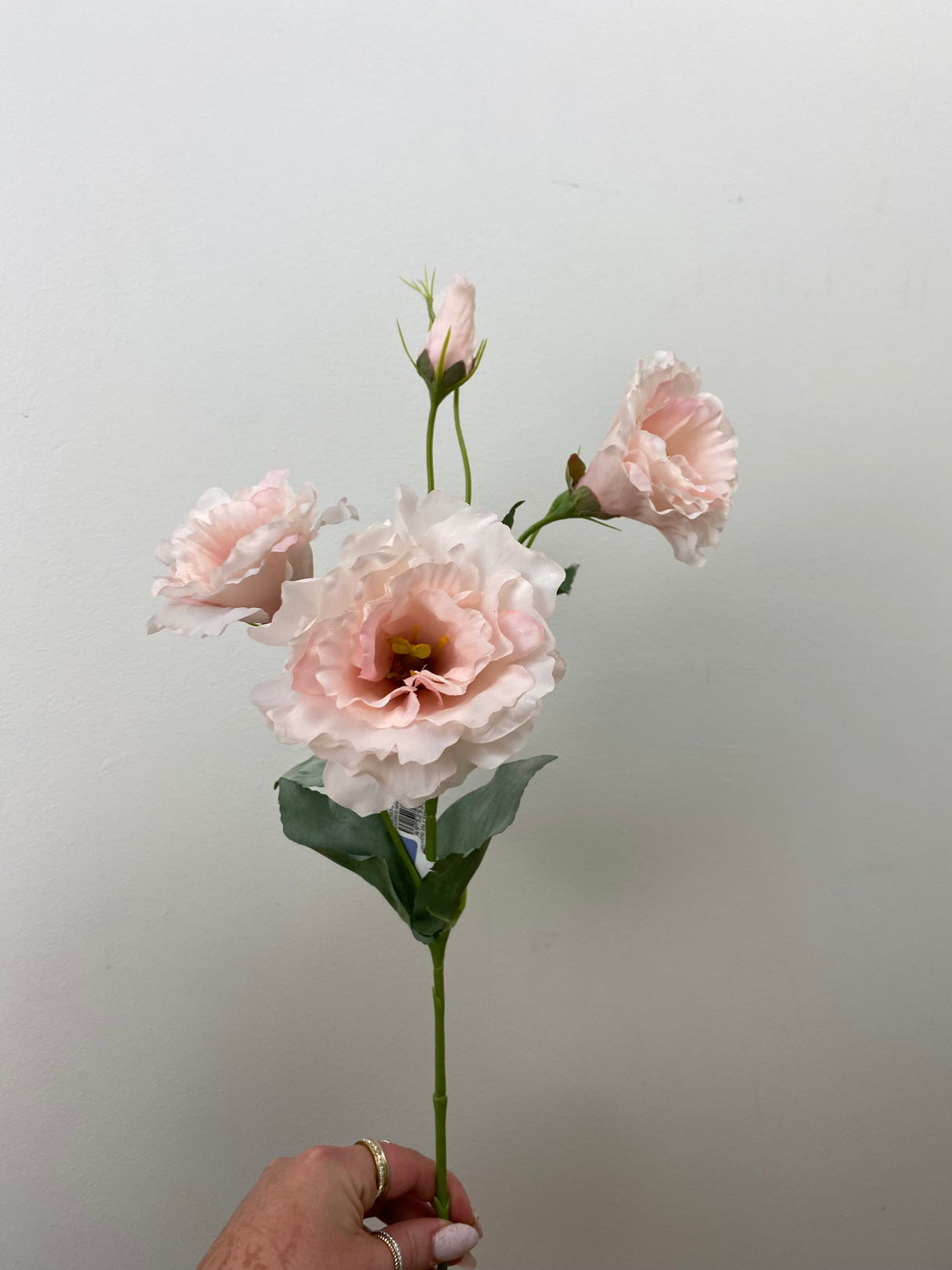 Soft Pink Lisianthus Spray