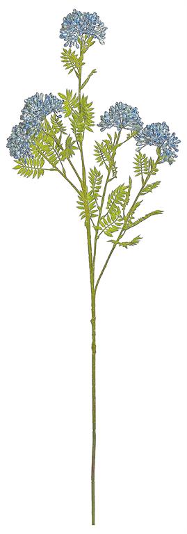 Blue Cluster Seed Spray