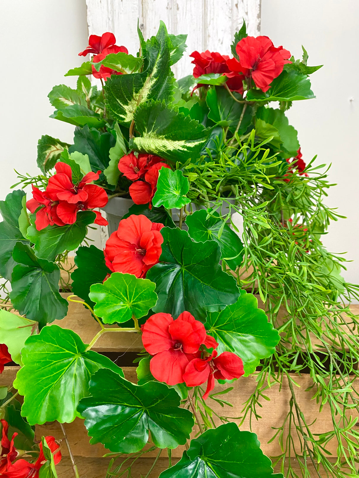 15" UV Protect Red Draping Geranium Pot-filler